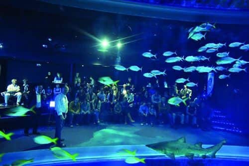 aquarium-gros-du-roi-gite-chambres-hotes-montpellier