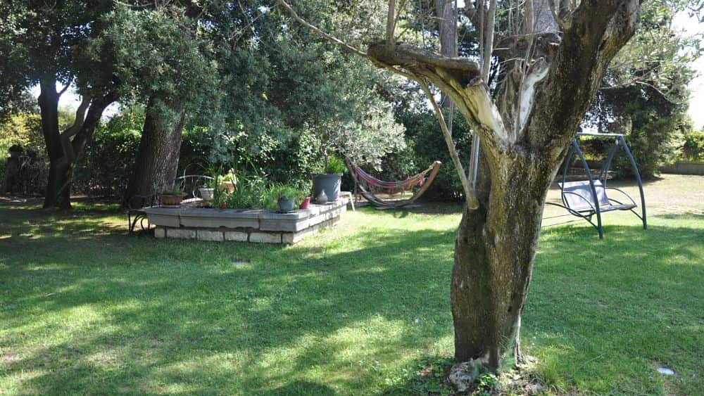 parc-arbres-centenaires-verdure-ombrage-chambres-hotes-montpellier