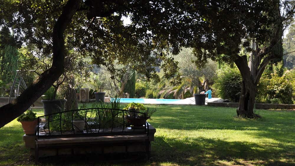arbres-pelouse-detente-relaxation-gite-chambres-hotes-montpellier