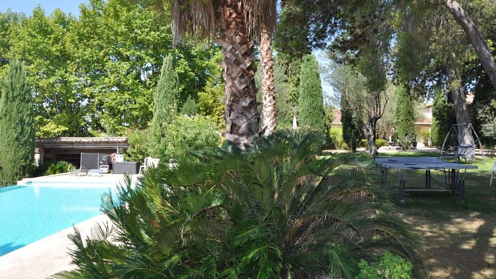 arbres-centenaires-autour-bassin-piscine-soleil-chambres-hotes-montpellier